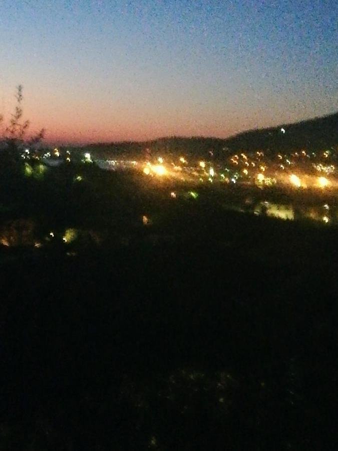 Appartamento Freedom House *